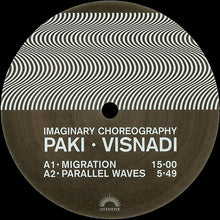 Load image into Gallery viewer, Paki* · Visnadi* : Imaginary Choreography (LP, Album)