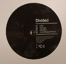 Load image into Gallery viewer, Divided (4) : Uildi (12")