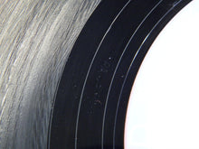 Load image into Gallery viewer, Turntable Symphony : Instructions Of Life (12", EP)