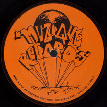 Load image into Gallery viewer, Terry Hunter : Madness (12")