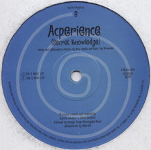Load image into Gallery viewer, Hardfloor : Acperience (12", Single)