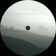 Load image into Gallery viewer, White Visitation (2) : Blank Slate 010 (12")