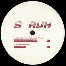 Load image into Gallery viewer, Armand Van Helden : 2Future4U (4x12", Album)
