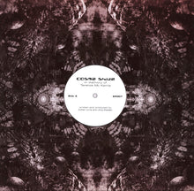 Load image into Gallery viewer, Cosma Shiva / Cosma : In Memory Of Terence Mc Kenna / Massive Sphere (12", EP)