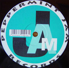 Load image into Gallery viewer, Cunnie Williams : Spirit (12")