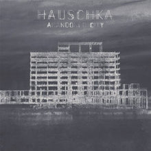 Load image into Gallery viewer, Hauschka : A NDO C Y (LP, Album, Ltd)