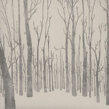 Load image into Gallery viewer, Yko (2) : Taō Remixes (12")