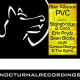 Load image into Gallery viewer, Star Alliance : PVC (12")