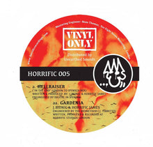 Load image into Gallery viewer, Digital, J.Bionic & Horrific James : Hellraiser / Gardenia (12", Ltd)