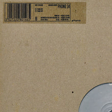 Load image into Gallery viewer, Slick 'N Flash : The Descent EP (12", EP)