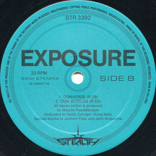 Load image into Gallery viewer, Exposure : Peak Experience (12")