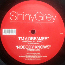 Load image into Gallery viewer, ShinyGrey : I'm A Dreamer / Nobody Knows (12")