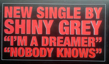 Load image into Gallery viewer, ShinyGrey : I'm A Dreamer / Nobody Knows (12")