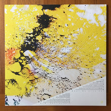 Load image into Gallery viewer, 2AMFM* : 2AMFM (2x12", Album)