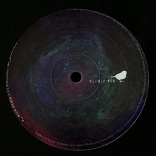 Load image into Gallery viewer, Various : Birdie #04 (12", EP)