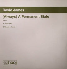 Load image into Gallery viewer, David James : (Always) A Permanent State (12", 1/2)