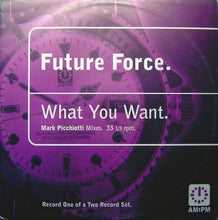 Load image into Gallery viewer, Future Force : What You Want (Mark Picchiotti Mixes) (12", One)