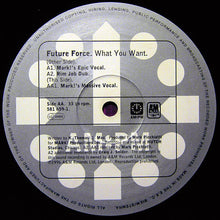 Load image into Gallery viewer, Future Force : What You Want (Mark Picchiotti Mixes) (12", One)