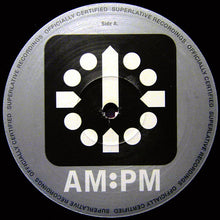 Load image into Gallery viewer, Future Force : What You Want (Mark Picchiotti Mixes) (12", One)