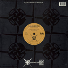 Load image into Gallery viewer, Paradise 3001 : Tales Of Northern & Southern Hemispheres (12", Maxi)
