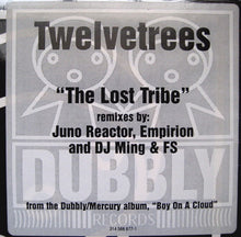 Load image into Gallery viewer, Twelvetrees : The Lost Tribe (12")