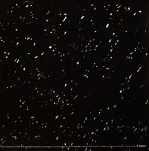 Load image into Gallery viewer, Isolée : Hermelin (12")