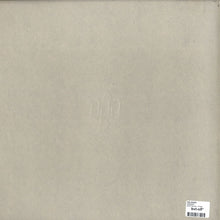 Load image into Gallery viewer, Noel W. Sanger : Dissident (12")