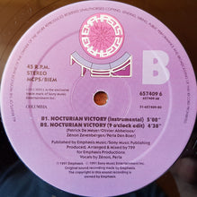 Load image into Gallery viewer, T99 : Nocturne (12")