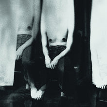 Load image into Gallery viewer, Daze (20) : Longhorn (12")