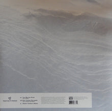 Load image into Gallery viewer, Pantha Du Prince : The Winter Hymn (12", EP)