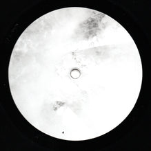 Load image into Gallery viewer, Pantha Du Prince : The Winter Hymn (12", EP)