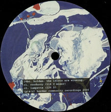 Load image into Gallery viewer, James Holden : The Idiots Are Winning (2x12", MiniAlbum)