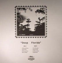 Load image into Gallery viewer, Inhalants (2) : Deep Florida (LP, Album)