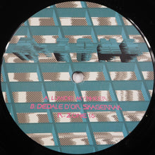 Load image into Gallery viewer, R-Zone (2) : R-Zone 16 (12")