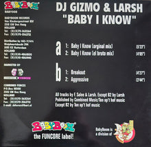 Load image into Gallery viewer, DJ Gizmo & Larsh : Baby I Know (12")