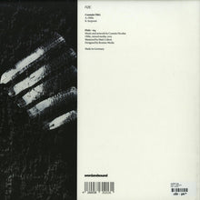 Load image into Gallery viewer, Cosmin TRG : Oblic / Serpenti (12", EP)