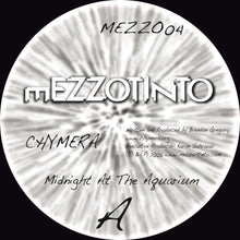 Load image into Gallery viewer, Chymera : Midnight At The Aquarium (12")