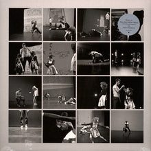 Load image into Gallery viewer, Peter Broderick : Music For Falling From Trees (LP, RP)