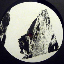 Load image into Gallery viewer, Divided (4) : Black Swallower (12")