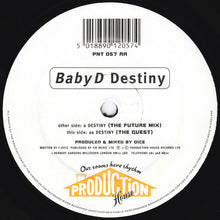 Load image into Gallery viewer, Baby D : Destiny (12")