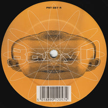 Load image into Gallery viewer, Baby D : Destiny (12")