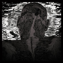 Load image into Gallery viewer, Asher Levitas : Lit Harness (LP, Album)