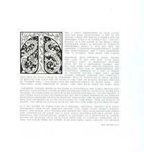 Load image into Gallery viewer, Beyond The Wizards Sleeve : The Soft Bounce (LP, Album, Cle)