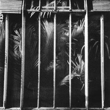 Load image into Gallery viewer, Ena (2) : Distillation (12")