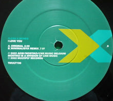 Load image into Gallery viewer, Flesh & Bones : I Love You (12")