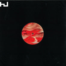 Load image into Gallery viewer, EndgamE (4) : Flesh EP (12", EP)