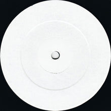 Load image into Gallery viewer, Levon Vincent : Birds (12")