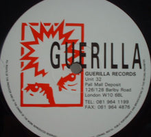 Load image into Gallery viewer, Two Shiny Heads : Dub House Disco (12")
