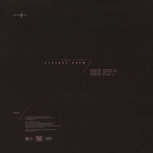 Load image into Gallery viewer, Roman Lindau : Strange Brew (12")