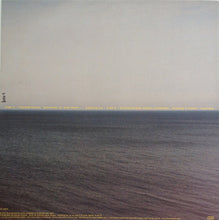 Load image into Gallery viewer, Ulrich Schnauss : Far Away Trains Passing By (LP, Album)